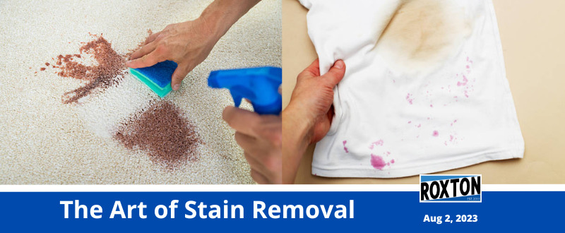 The Art of Stain Removal