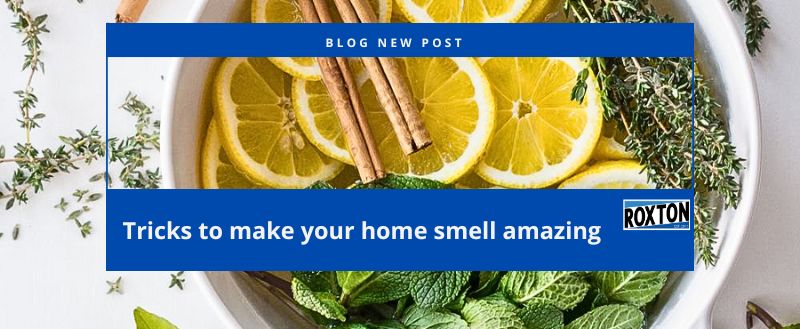 Tips To Keep Your House Always Smelling Clean and Fresh!