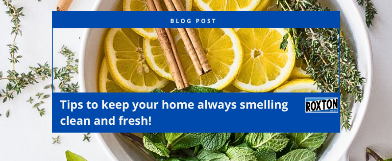 Revolutionary Tips For A Clean & Fresh Smelling Home!